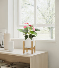 Load image into Gallery viewer, White stand:bamboo
