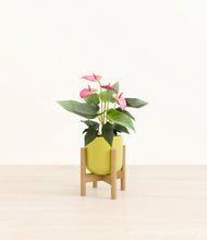 Load image into Gallery viewer, Key Lime Yellow stand:bamboo
