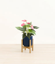 Load image into Gallery viewer, Twilight Blue stand:bamboo
