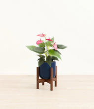 Load image into Gallery viewer, Twilight Blue stand:walnut
