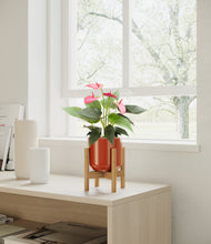 Load image into Gallery viewer, Glossy Red stand:bamboo
