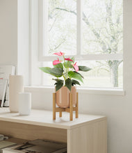 Load image into Gallery viewer, Glossy Pink stand:bamboo
