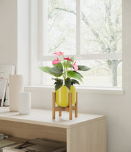 Load image into Gallery viewer, Key Lime Yellow stand:bamboo
