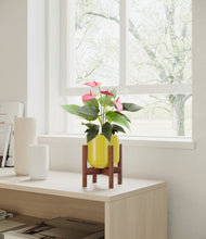 Load image into Gallery viewer, Key Lime Yellow stand:walnut

