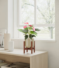Load image into Gallery viewer, Sage Green stand:walnut
