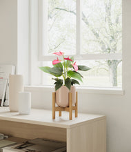 Load image into Gallery viewer, Sandy Pink stand:bamboo
