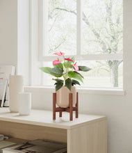 Load image into Gallery viewer, Sandy Pink stand:walnut
