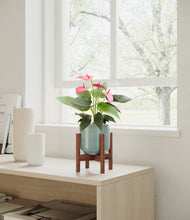 Load image into Gallery viewer, Reactive Aqua stand:walnut
