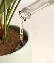 Load image into Gallery viewer, Earthy stand:all
