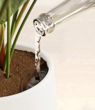 Load image into Gallery viewer, Sandy stand:all
