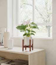 Load image into Gallery viewer, Snowdrift White stand:walnut
