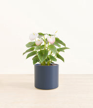 Load image into Gallery viewer, Deep Navy*****Profile
