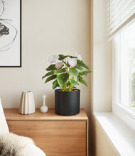 Load image into Gallery viewer, Black
