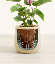 Load image into Gallery viewer, Almond Green stand:all
