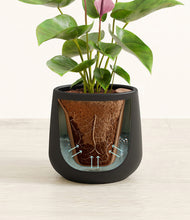 Load image into Gallery viewer, Black stand:all
