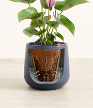 Load image into Gallery viewer, Deep Navy stand:all
