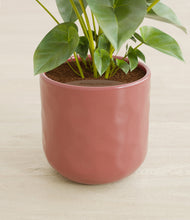 Load image into Gallery viewer, Hammered Rose Pink stand:all
