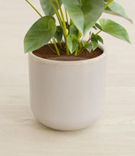 Load image into Gallery viewer, Snowdrift White stand:all
