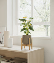 Load image into Gallery viewer, Olive stand:bamboo
