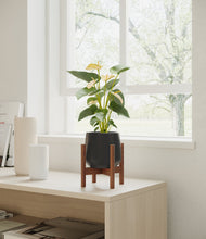 Load image into Gallery viewer, Black stand:walnut
