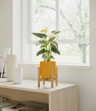 Load image into Gallery viewer, Mustard stand:bamboo
