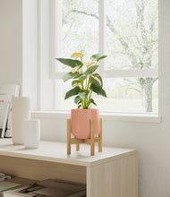 Load image into Gallery viewer, Calm Rose stand:bamboo
