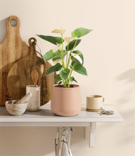 Load image into Gallery viewer, Gentle Pink
