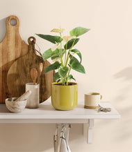 Load image into Gallery viewer, Key Lime Yellow
