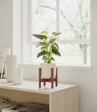 Load image into Gallery viewer, Cotton White stand:bamboo

