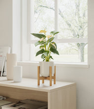 Load image into Gallery viewer, Cotton White stand:walnut

