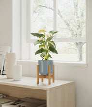 Load image into Gallery viewer, Misty Blue stand:bamboo
