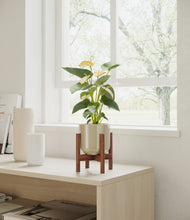 Load image into Gallery viewer, Sage Green stand:walnut
