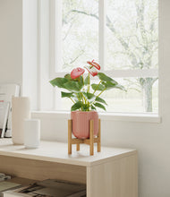 Load image into Gallery viewer, Striped Rose Pink stand:bamboo
