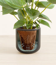 Load image into Gallery viewer, Stone Black stand:all
