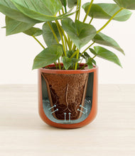 Load image into Gallery viewer, Glossy Red stand:all
