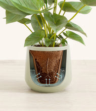 Load image into Gallery viewer, Turquoise stand:all
