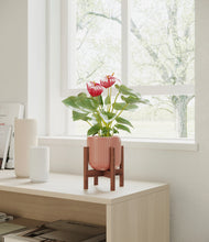 Load image into Gallery viewer, Striped Rose Pink stand:walnut
