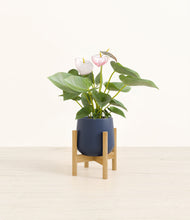 Load image into Gallery viewer, Deep Navy stand:bamboo

