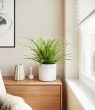 Load image into Gallery viewer, White
