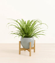 Load image into Gallery viewer, Deep Ocean stand:bamboo
