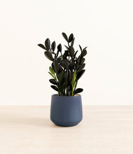 Load image into Gallery viewer, Deep Navy*****Profile
