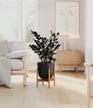 Load image into Gallery viewer, Stone Black stand:bamboo
