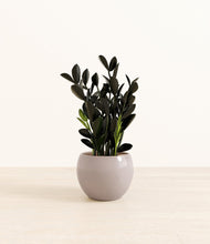 Load image into Gallery viewer, Winter Clouds*****Profile
