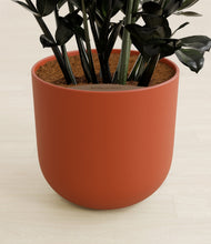 Lade das Bild in den Galerie-Viewer, Earth Red stand:all
