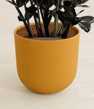 Lade das Bild in den Galerie-Viewer, Sunset Orange stand:all
