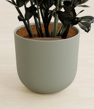 Lade das Bild in den Galerie-Viewer, Sage Green stand:all
