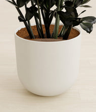 Lade das Bild in den Galerie-Viewer, Natural Bamboo stand:all
