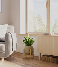 Load image into Gallery viewer, Olive stand:bamboo
