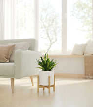 Load image into Gallery viewer, White stand:bamboo
