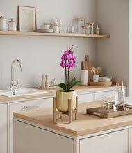 Load image into Gallery viewer, Almond Green stand:bamboo
